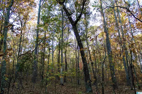 1624 Fleming Rd, Vincent, AL 35178 photo 9