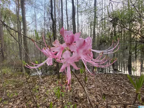 1624 Fleming Rd, Vincent, AL 35178 photo 5