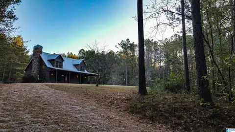 1624 Fleming Rd, Vincent, AL 35178 photo 50