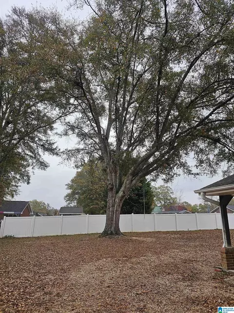 310 Thrash Rd, Clanton, AL 35045 photo 19