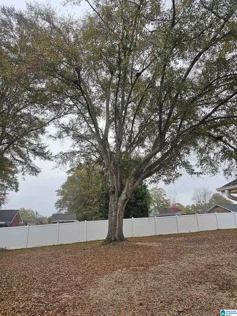 310 Thrash Rd, Clanton, AL 35045 photo 16