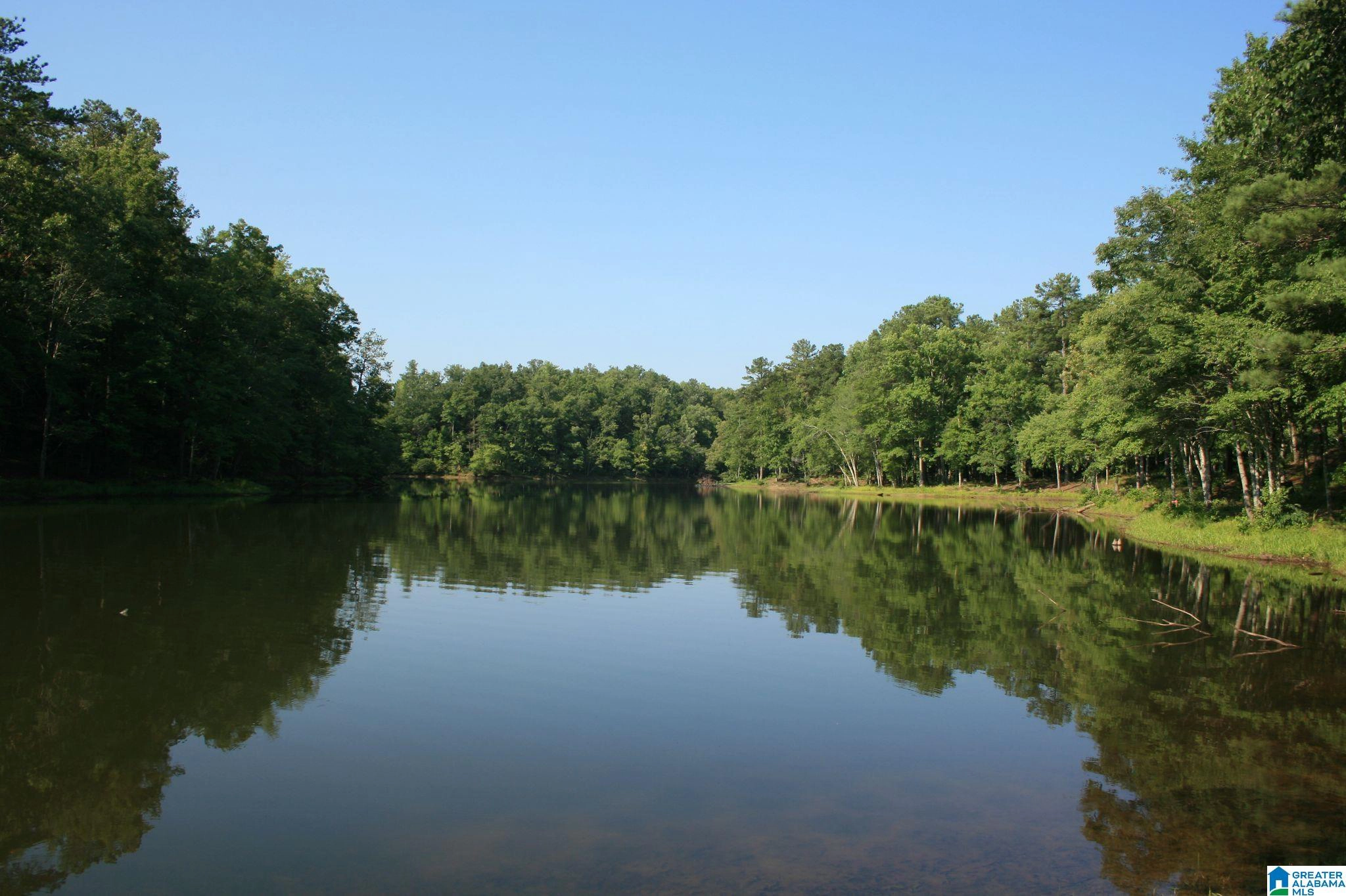 1321 PINE MOUNTAIN Trl Unit LOT-4