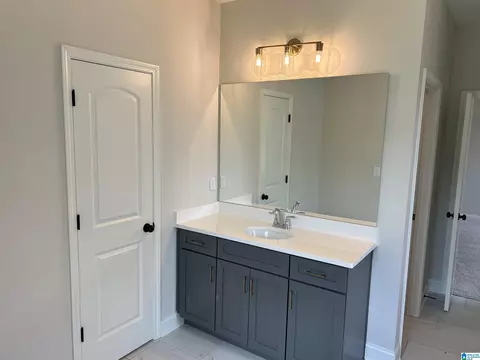 Bath - 317 Cornwall Dr, Maylene, AL 35114 photo 15 of 15