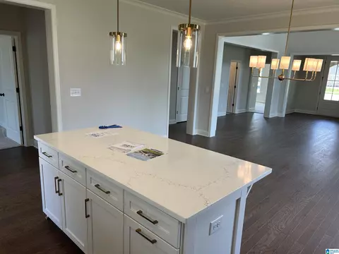Other - 317 Cornwall Dr, Maylene, AL 35114 photo 3 of 23