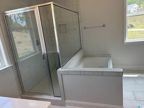 Bath - 317 Cornwall Dr, Maylene, AL 35114 photo 1 of 15
