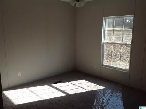15285 Highway 78, Fruithurst, AL 36262 photo 27