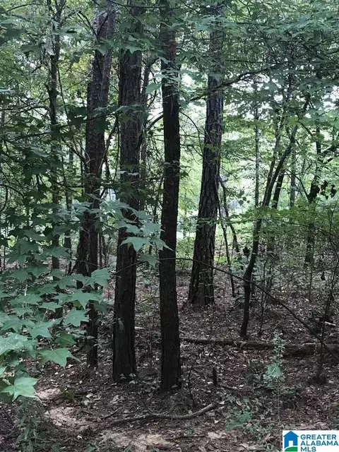 lakeside lane, Alpine, AL 35014