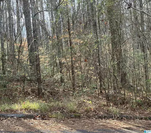 00 Woodland Hills Dr #9 & 11, Springville, AL 35146