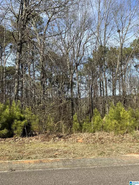 11 Woodland Hls #11, Springville, AL 35146