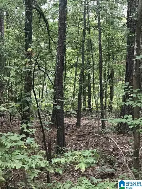 lakeside lane, Alpine, AL 35014
