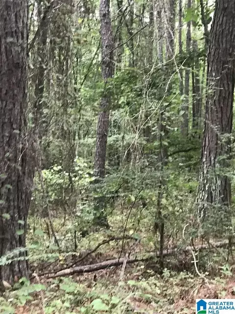 s lakeside lane, Alpine, AL 35014