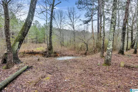 2810 Warrior Jasper Rd, Warrior, AL 35180 photo 3
