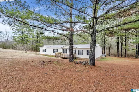 2810 Warrior Jasper Rd, Warrior, AL 35180 photo 33