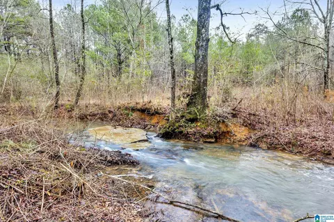 2810 Warrior Jasper Rd, Warrior, AL 35180 photo 5