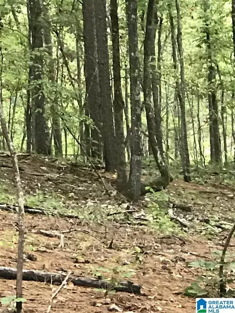 zodiac drive, Alpine, AL 35014