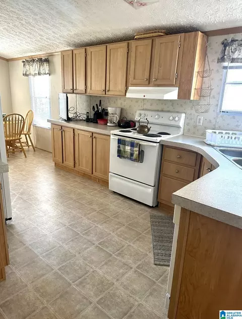 198 Mohawk Trl, Ohatchee, AL 36271 photo 7