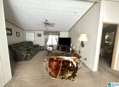 198 Mohawk Trl, Ohatchee, AL 36271 photo 12