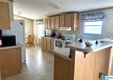 198 Mohawk Trl, Ohatchee, AL 36271 photo 4