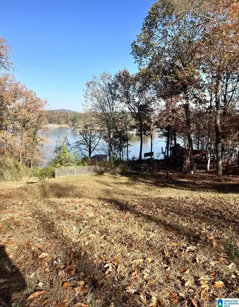 198 Mohawk Trl, Ohatchee, AL 36271 photo 20