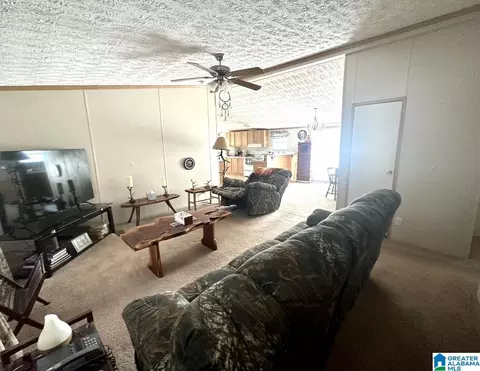 198 Mohawk Trl, Ohatchee, AL 36271 photo 13