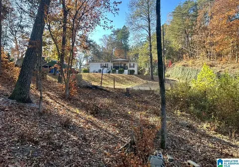 198 Mohawk Trl, Ohatchee, AL 36271 photo 19