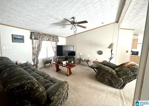198 Mohawk Trl, Ohatchee, AL 36271 photo 11