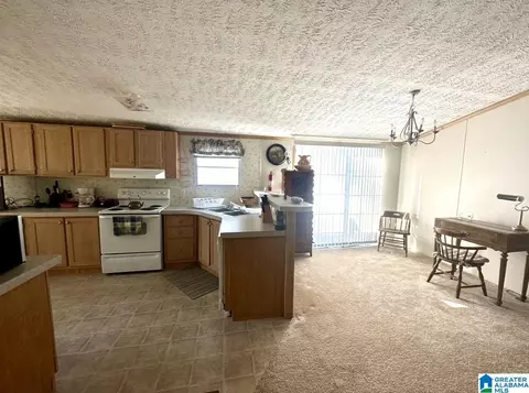 198 Mohawk Trl, Ohatchee, AL 36271 photo 8