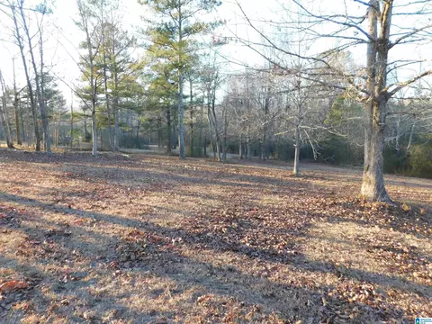 65 Tolbert Dr, Steele, AL 35987 photo 28