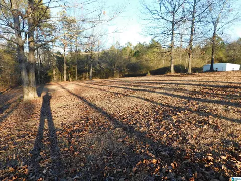 65 Tolbert Dr, Steele, AL 35987 photo 27