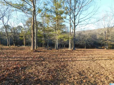 65 Tolbert Dr, Steele, AL 35987 photo 26
