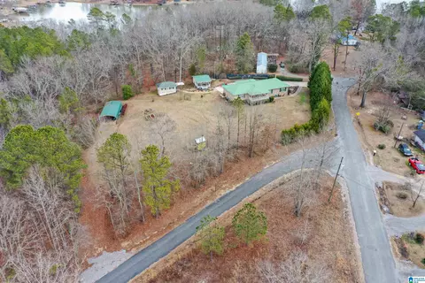 View/Area - 281 Perry Rd, Vincent, AL 35178 photo 4 of 5