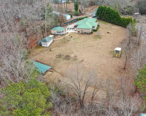 Other - 281 Perry Rd, Vincent, AL 35178 photo 7 of 7