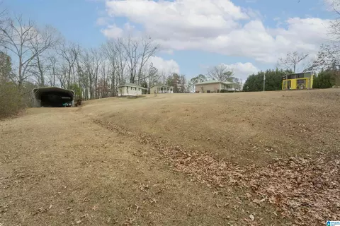 Exterior - 281 Perry Rd, Vincent, AL 35178 photo 18 of 22
