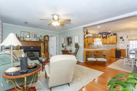 Living - 281 Perry Rd, Vincent, AL 35178 photo 1 of 10