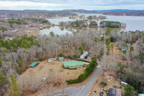 View/Area - 281 Perry Rd, Vincent, AL 35178 photo 3 of 5