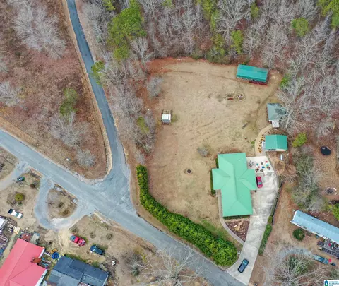 Other - 281 Perry Rd, Vincent, AL 35178 photo 6 of 7