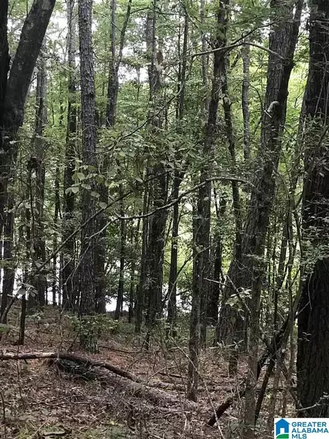highway 191, Alpine, AL 35014