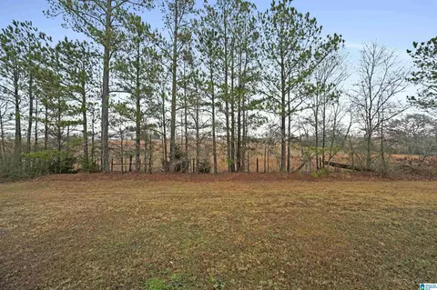 85 County Road 1060, Clanton, AL 35045 photo 43