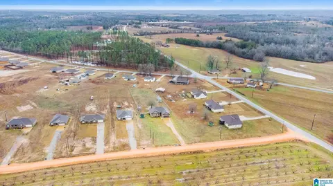 200 County Road 368, Verbena, AL 36091 photo 36
