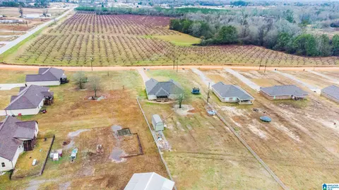 200 County Road 368, Verbena, AL 36091 photo 33
