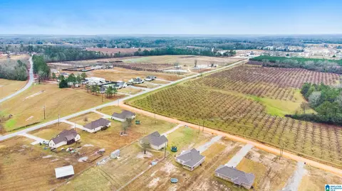 200 County Road 368, Verbena, AL 36091 photo 32