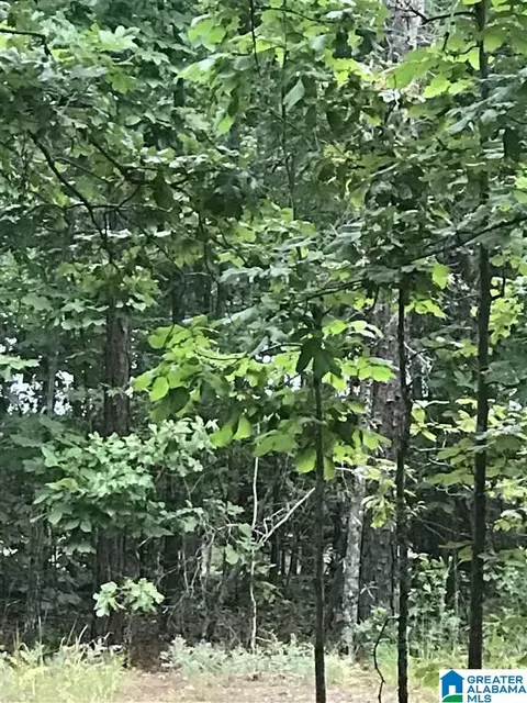 aurora circle, Alpine, AL 35014