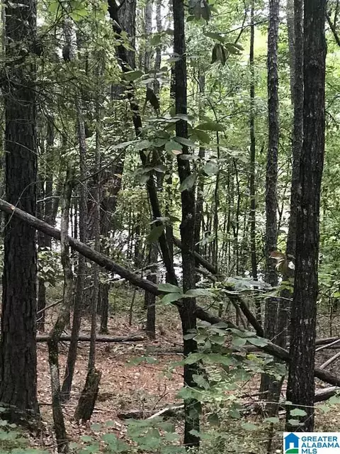 aurora circle, Alpine, AL 35014