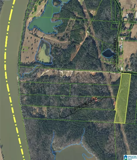 95 Copperhead Rd, Ohatchee, AL 36271 photo 2