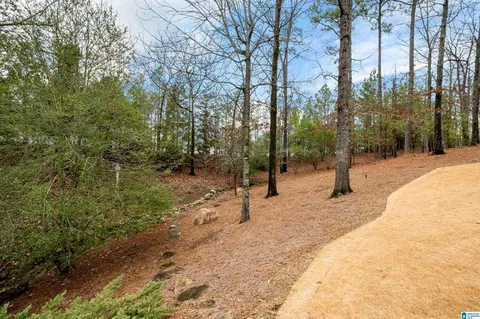 2845 Berkeley Dr, Birmingham, AL 35242 photo 61