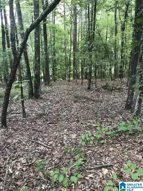 aurora circle, Alpine, AL 35014