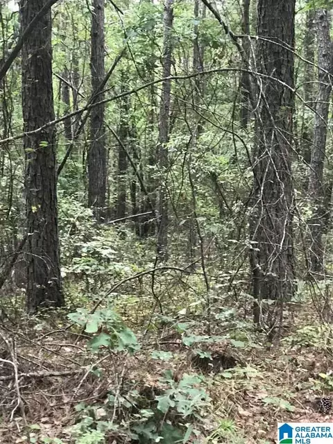 0 Highway 191 #39, Alpine, AL 35014