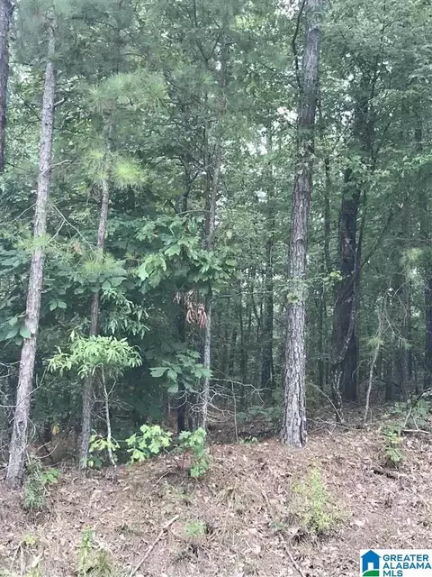 0 Aquarius Dr #35, Alpine, AL 35014