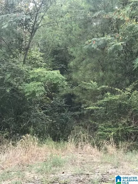 constellation avenue, Alpine, AL 35014