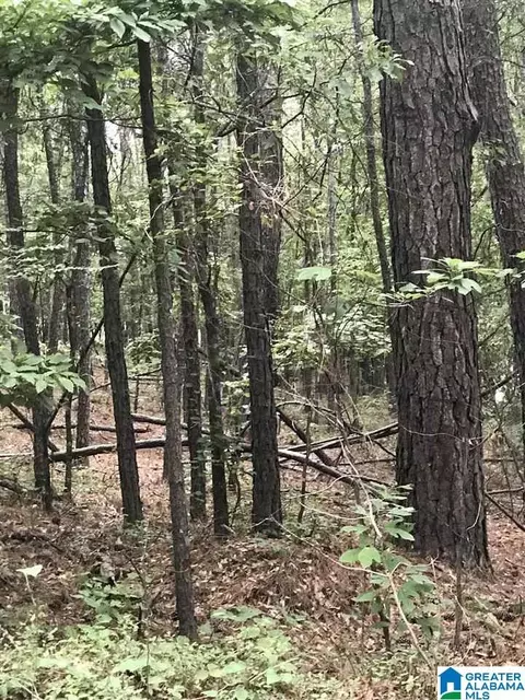 lakeside lane, Alpine, AL 35014